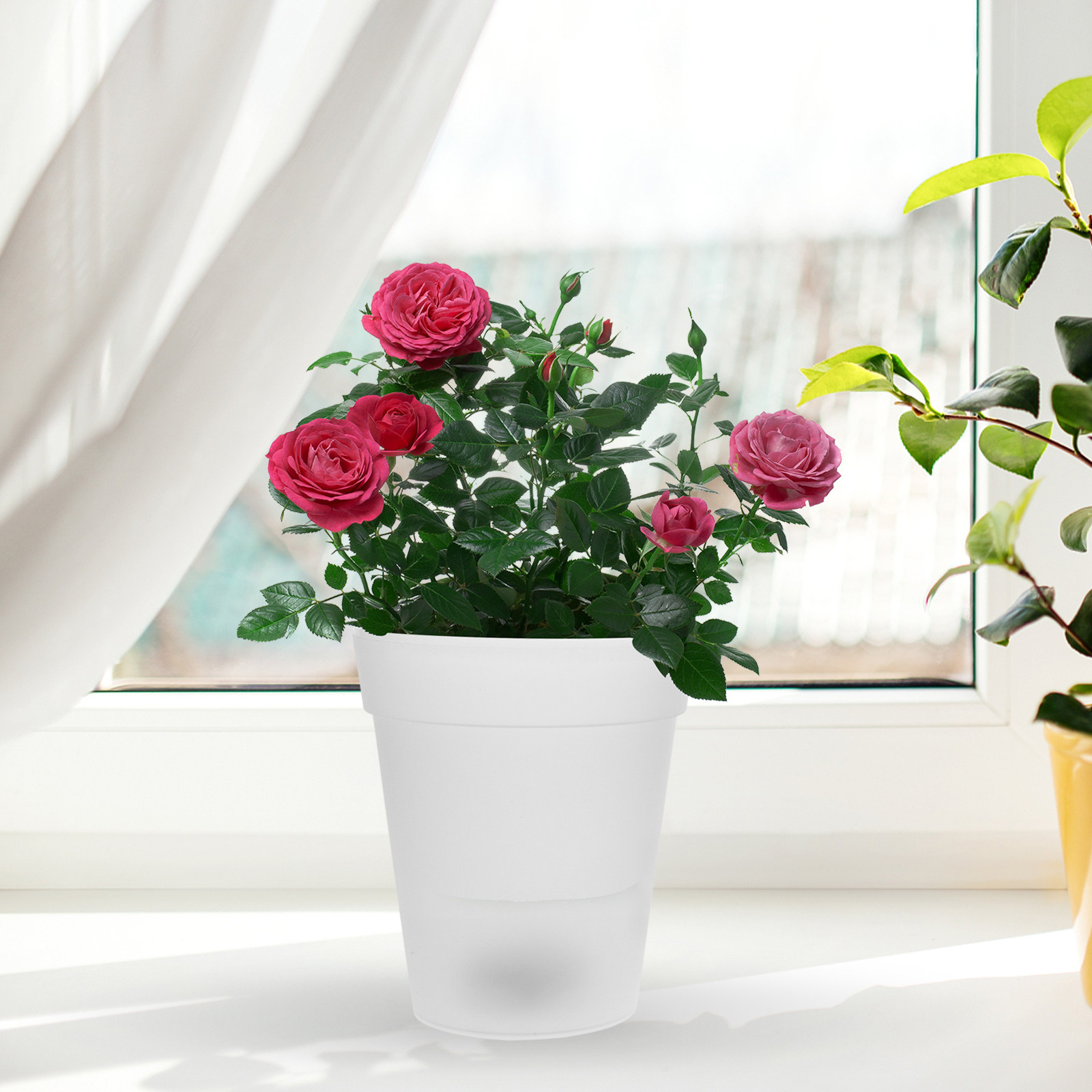 Outdoor Lighting For Christmas - Flowerpot Solar Light Outdoor Decorative Lamp