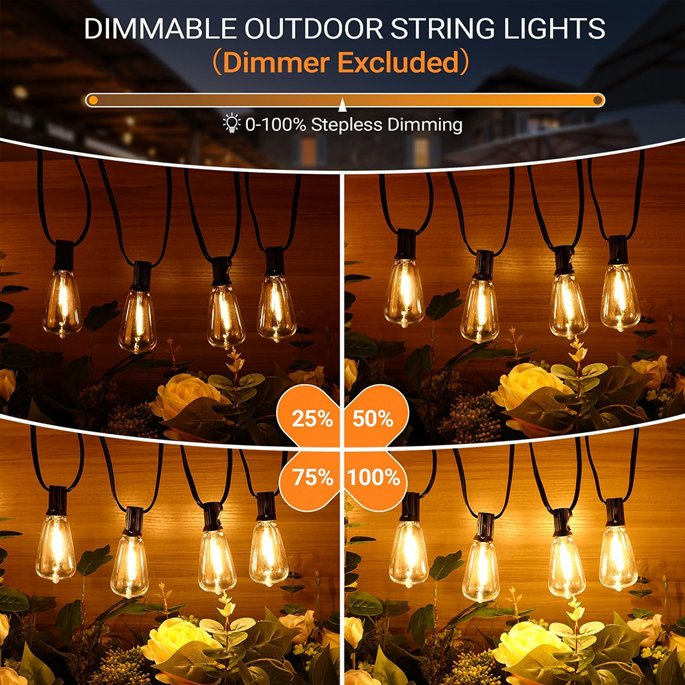 ST38 Festoon 220V LED Globe St – Outdoor Lighting Ideas For Party Bewertung und Preis