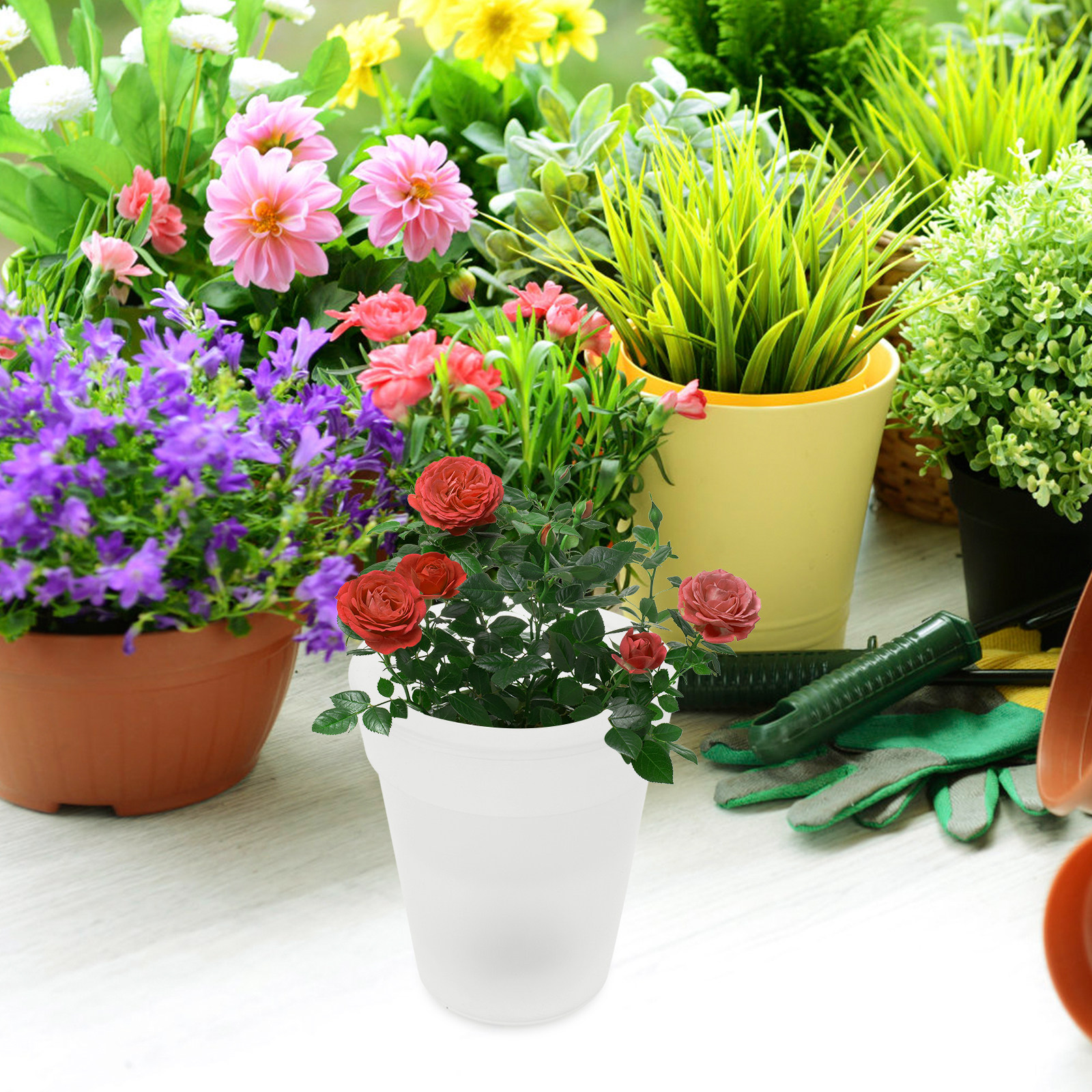 Flowerpot Solar Light Outdoor  – Outdoor Lighting For Christmas Bewertung und Preis