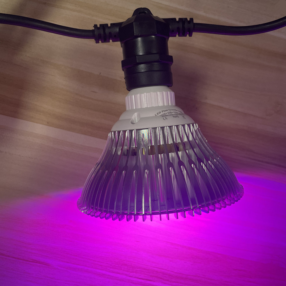 10M Cable LED String Commercia – Outdoor Lighting Diy Bewertung und Preis