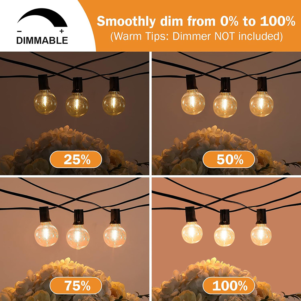 7/26M Festoon LED Globe String – Outdoor Lighting Ideas For Party Bewertung und Preis