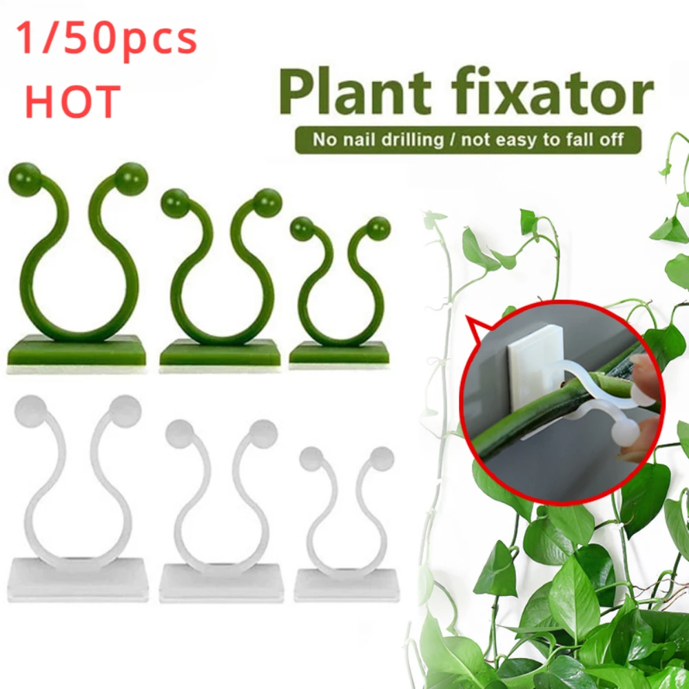 1/30/50Pcs For Garden Accsesor – Outdoor Lighting Sconce Bewertung und Preis
